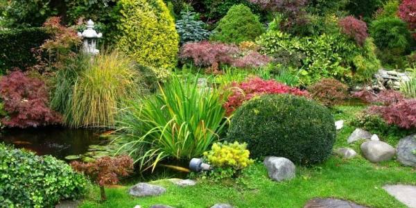 What Plant Goes in a Japanese Garden? - Organize With Sandy