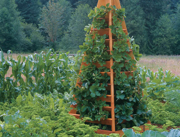 Tall Wooden Strawberry Tower