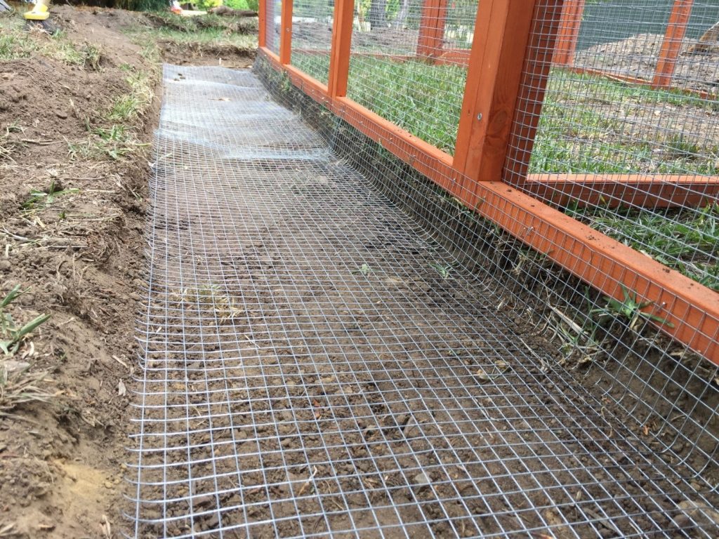 Trench for a Chicken Coop