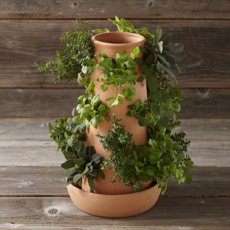 Vertical Terracotta Planter