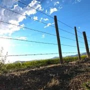 A Quick Guide to Building Farm Fence