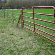 A steel tube gate for an electric fence