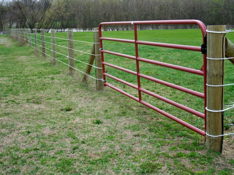 10 Best Welded Wire Fence Gate Ideas (with Pictures) Organize With Sandy