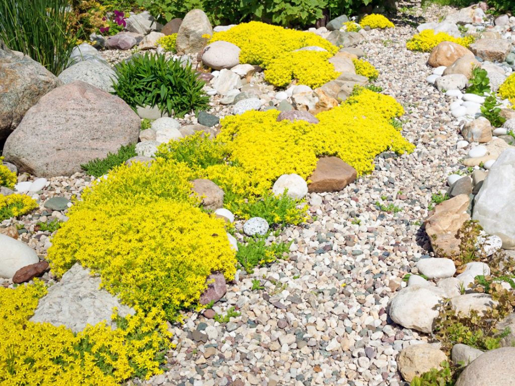 Alpine Hillside Garden