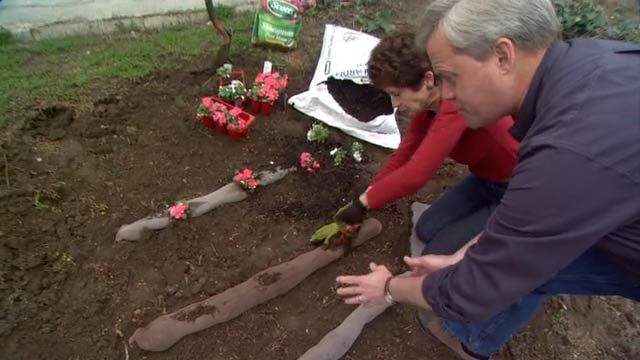 Anchoring a Hillside Garden