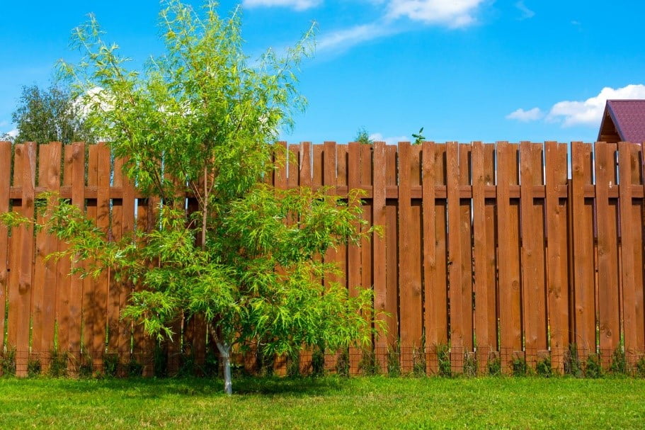 Back to the Basic Type of Fence