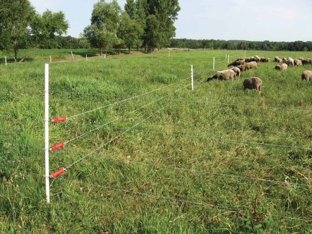 Bungee Gates for Permanent Fencing