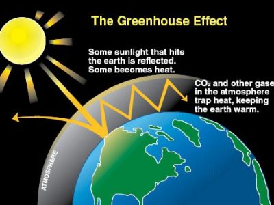Causes of the Greenhouse Effect