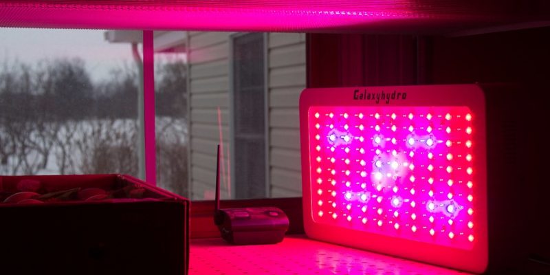 Led Grow Lights Are They Effective for Hydroponics
