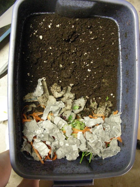 Make Your Compost