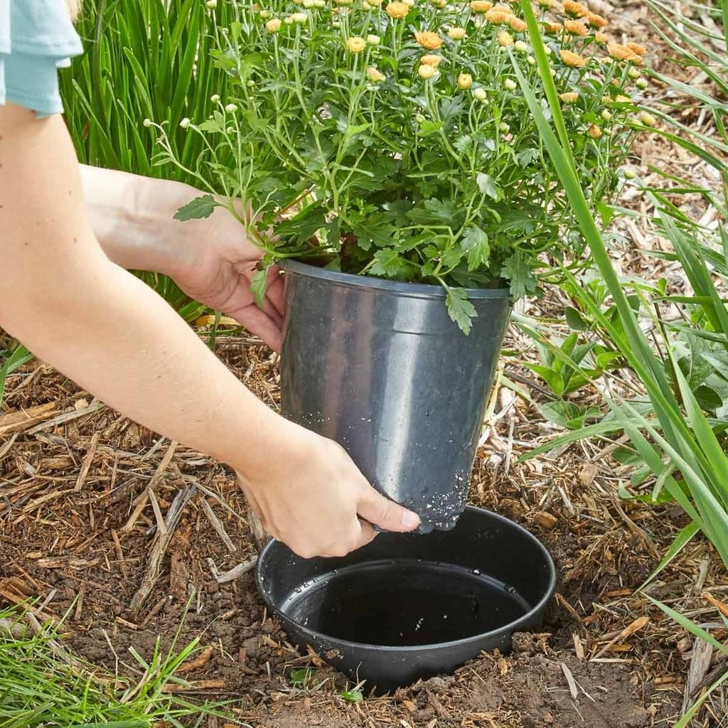 Plant In a Pot Landscaping Design