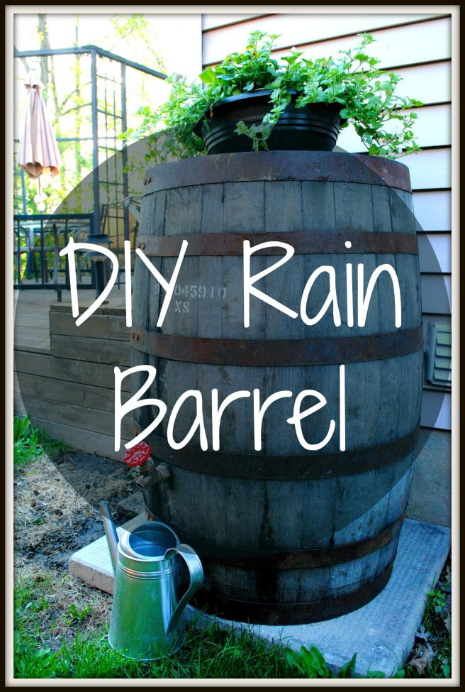 Rain Barrel for Droughts