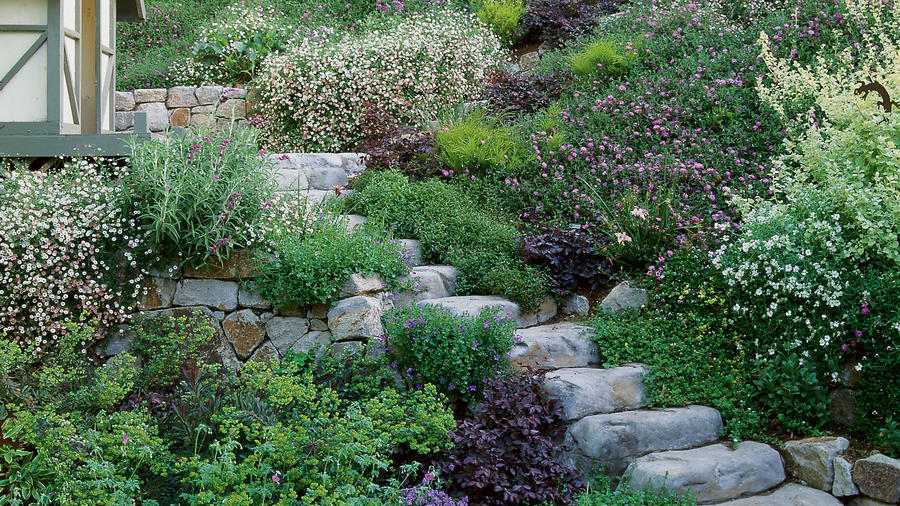 Taming a Hillside in Small Bites