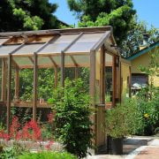 The History of Greenhouses