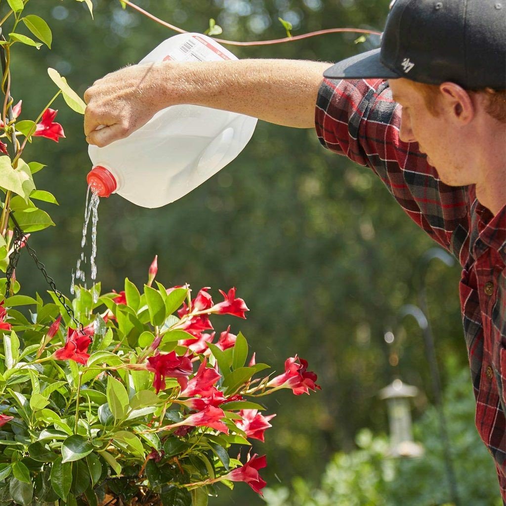 Watering Plants in A Creative Way