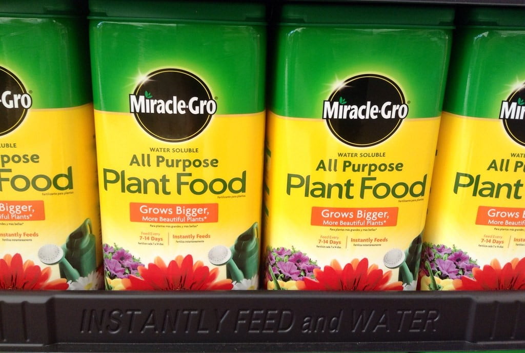 What Type of Miracle-Gro Should I Use