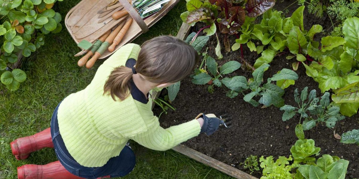 Top Techniques for Decluttering Your Garden - Organize With Sandy