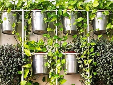 Bucket Holder for a Vertical Garden