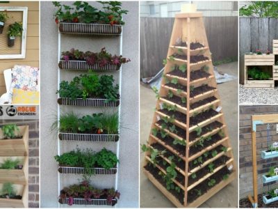 DIY Vertical Garden Ideas