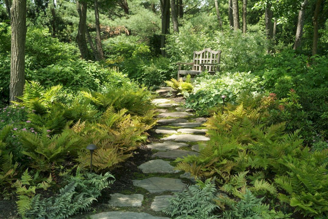 10 Most Expensive Plants for Your Woodland Garden - Organize With Sandy