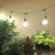 How To Use a Miracle Led Grow Light