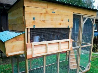 Inexpensive Ways to Build a Chicken Coop