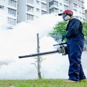 Is Mosquito Fogging Effective