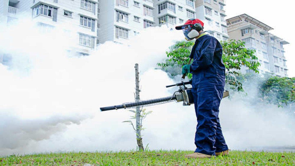 Is Mosquito Fogging Effective? - Organize With Sandy