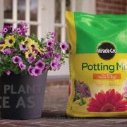 Miracle Grow Potting Soil