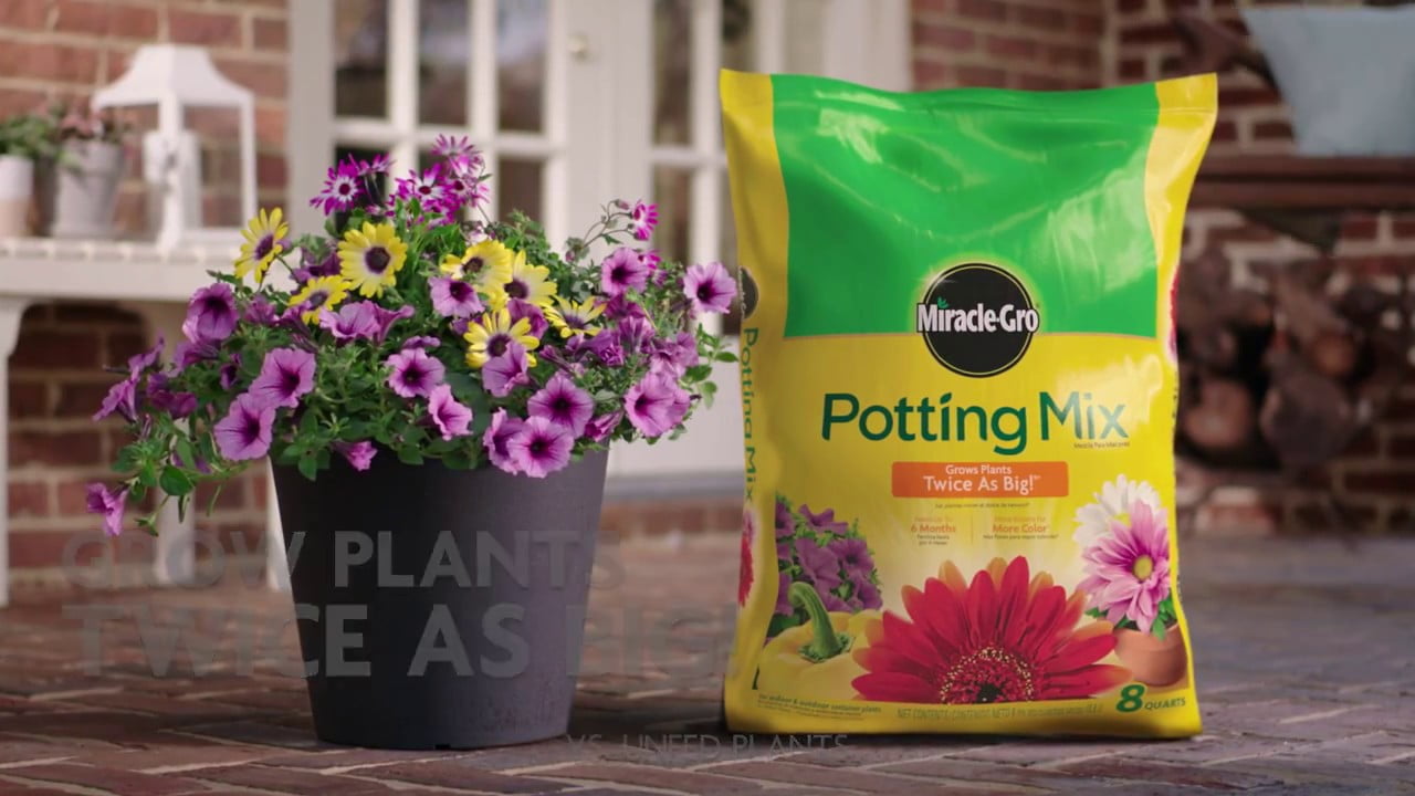 Miracle Grow Potting Soil What Are the Ingredients? Organize With Sandy