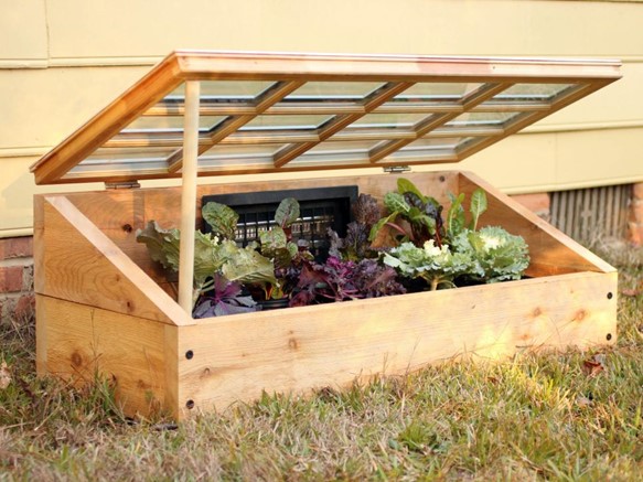 Size & Structure of the Cold Frame