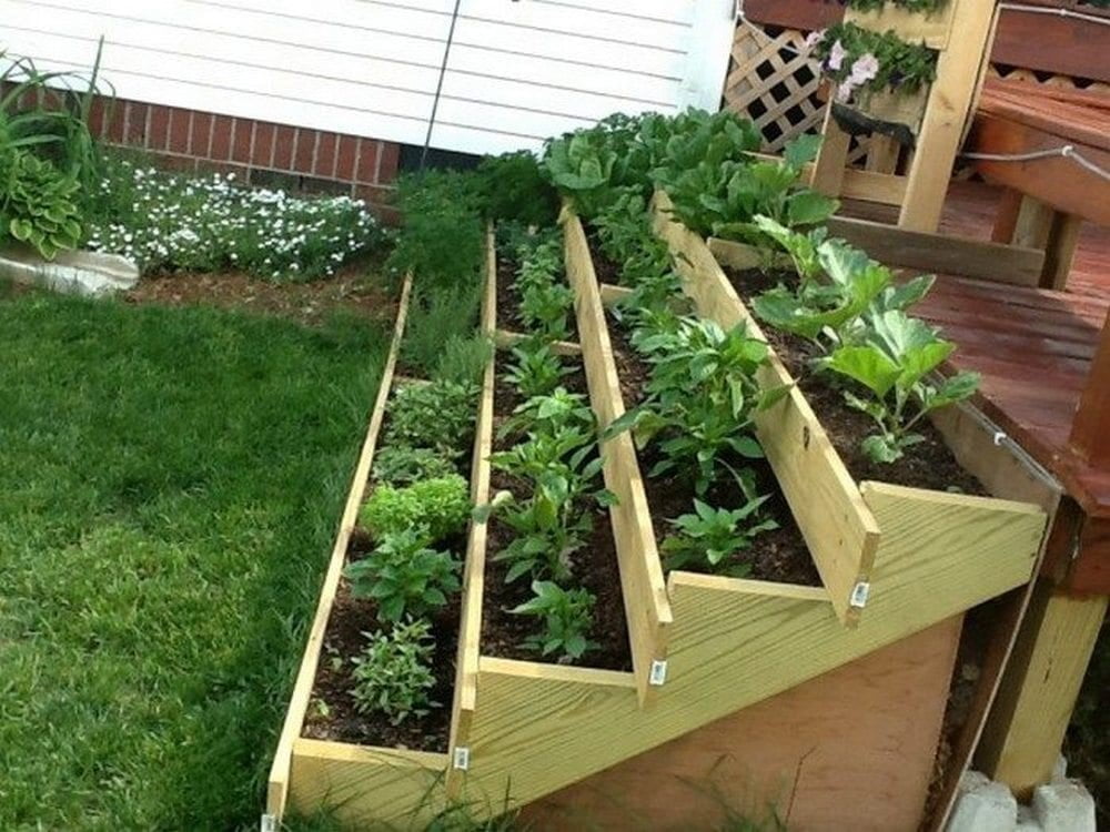 Stair Step Vertical Gardens