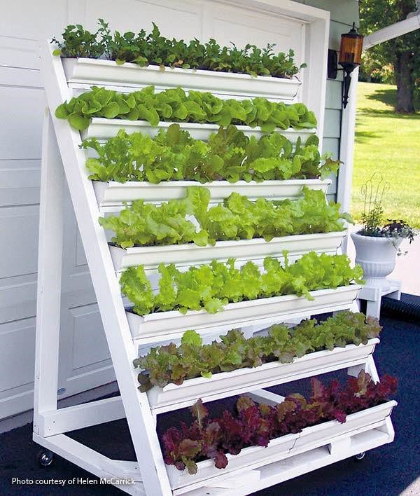 Staircase Stand for Pots and Vegetables