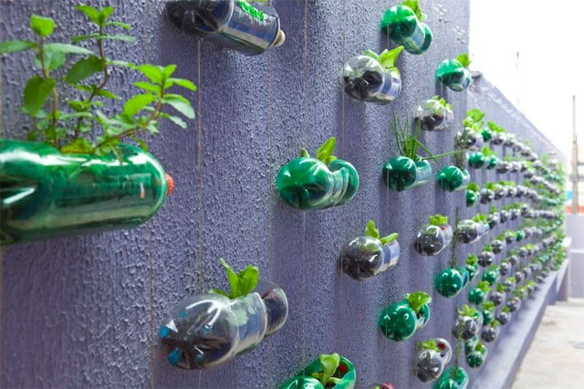Vertical Bottle Gardens