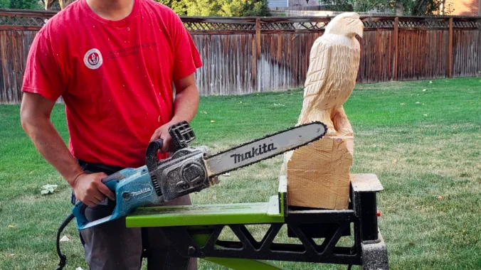 What type of Electric Chainsaw do I Need for Carving