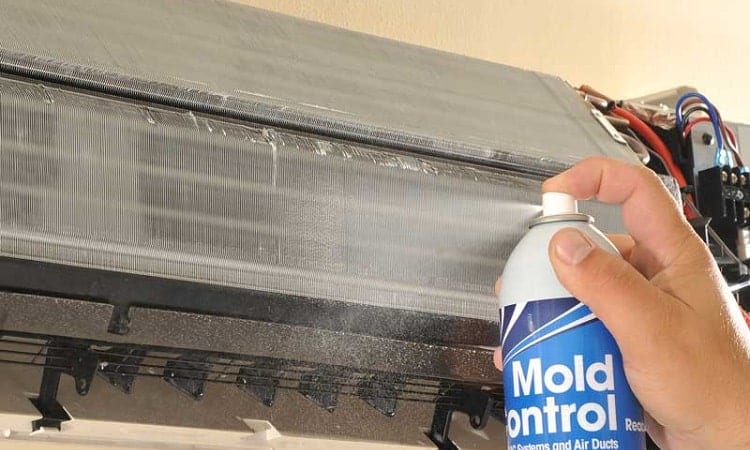 Remove Mold From Ducts