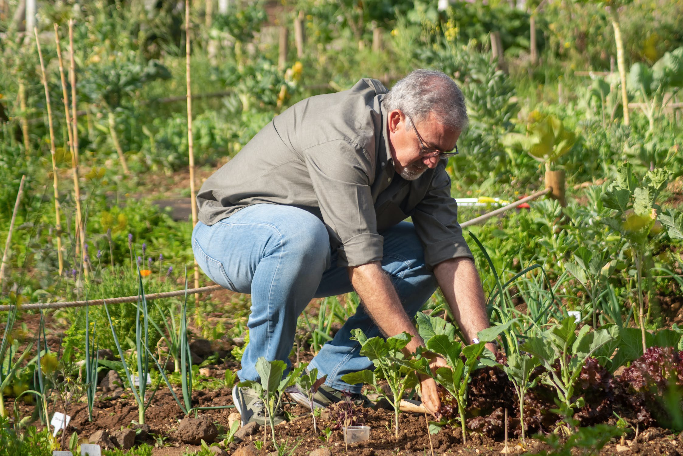 A picture containing outdoor, grass, person, person Description automatically generated