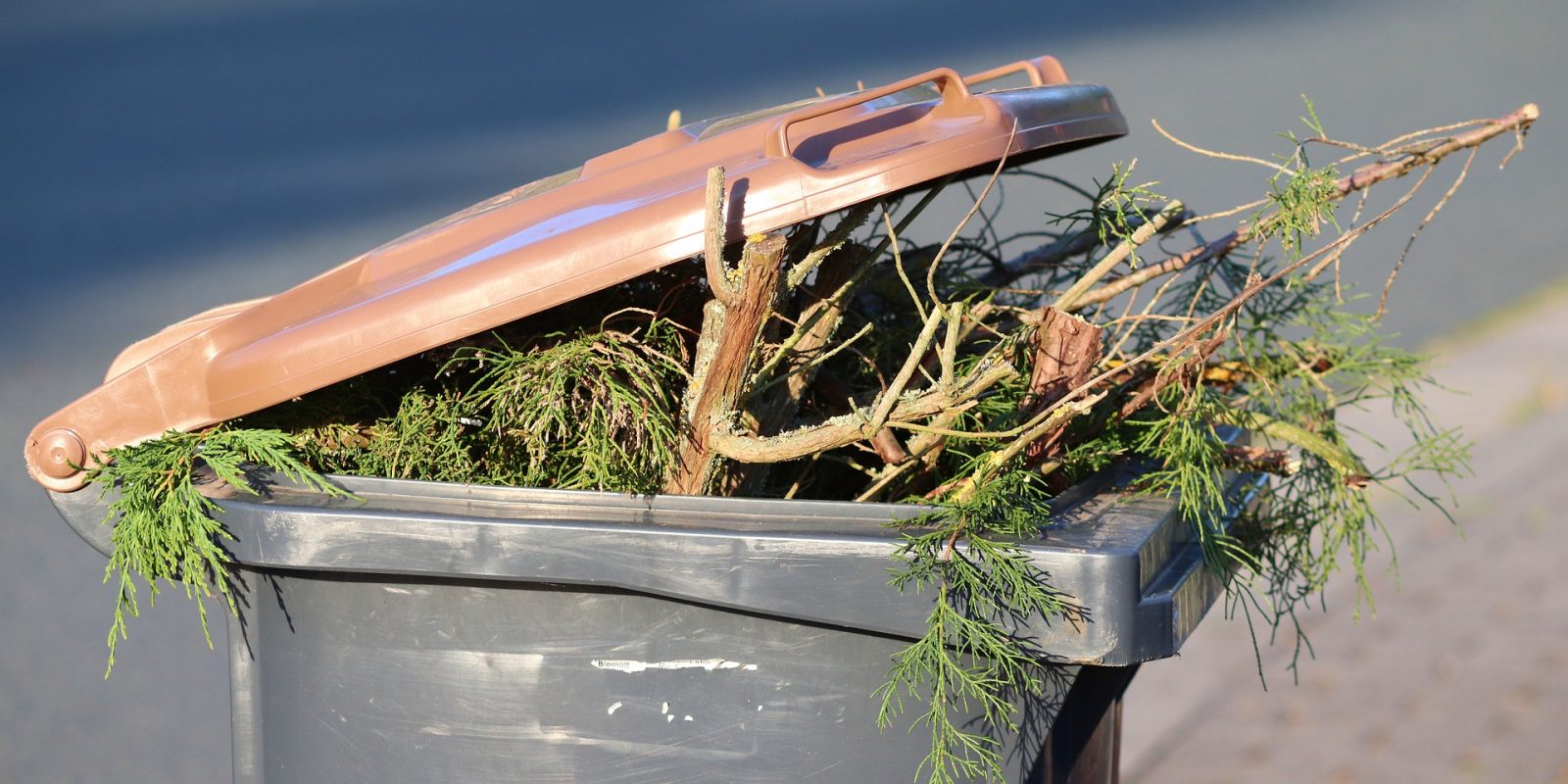 How to Get Rid of Your Garden Waste Organize With Sandy