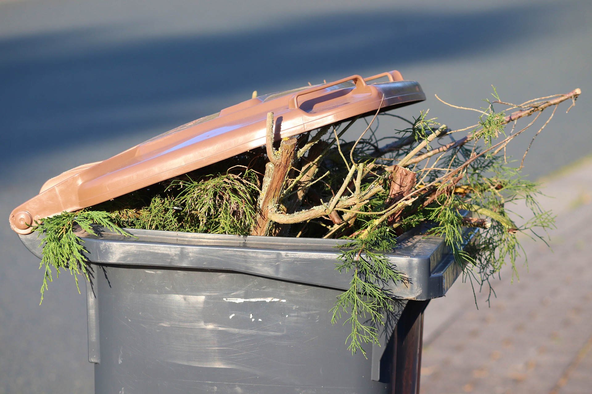 How to Get Rid of Your Garden Waste Organize With Sandy