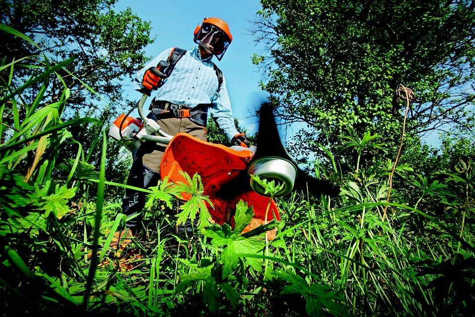 Garden, Grass Cutter, Gardening, Grass, Man, Outdoors