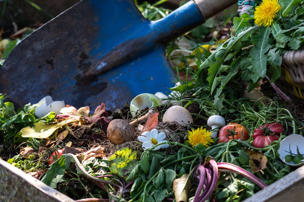 5 EcoFriendly Methods To Dispose Of Yard Waste Organize With Sandy