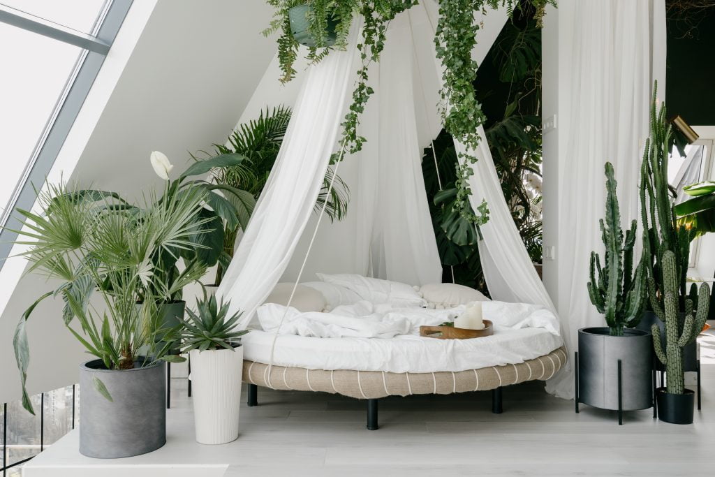 15 Best Plants for Your Bedroom to Help You Get a Better Sleep