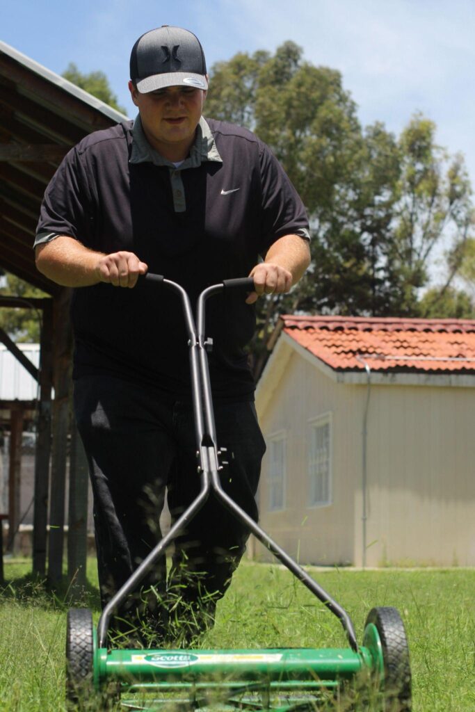 When Does Bermuda Grass Go Dormant (And How To Check) Organize With Sandy