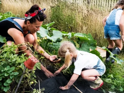 How Gardening Helps Students Keep Their Mental Balance.