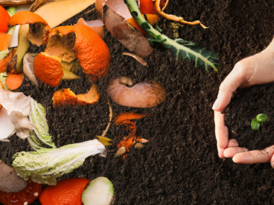 Everything You Need To Know About Compost Tumblers