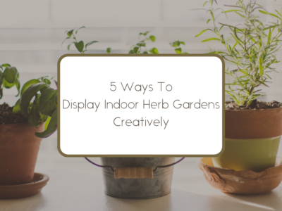 5 Ways To Display Indoor Herb Gardens Creatively