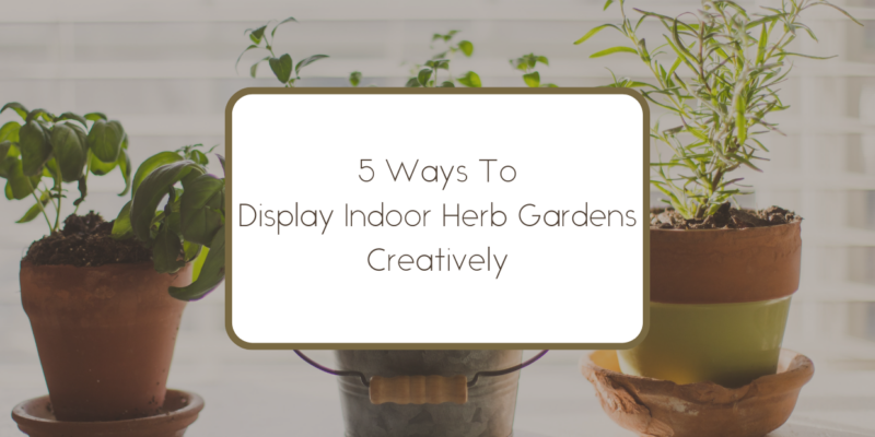 5 Ways To Display Indoor Herb Gardens Creatively