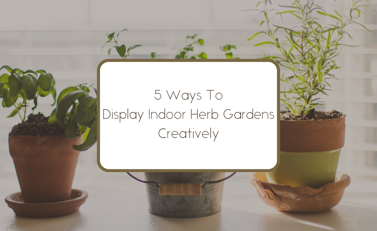 5 Ways To Display Indoor Herb Gardens Creatively Organize With Sandy