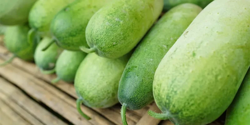 Ash Gourd (Chinese Winter Melon) Nutrition Facts