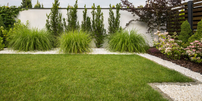 Revamp your Landscape: Unveiling 5 Exciting Materials for Elegant Lawn Edging!